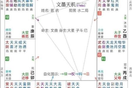 紫微入命：探索命理学中的福星之道与人生智慧