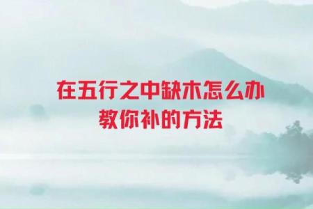 女人缺木缺水命运解析:探寻幸福生活的方向与方法