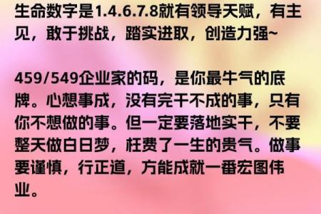 探索木命命理数字的奥秘与人生启示