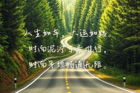 探寻命运的奥秘：什么样的命才是最好的命？