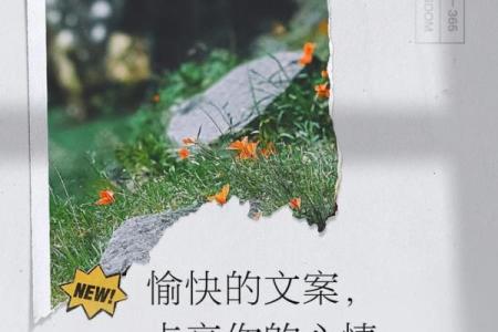 探索生活中的细微乐趣,发现不一样的美好时光
