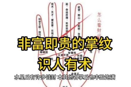 揭秘男人的手相:哪些特征暗示着当官命格?