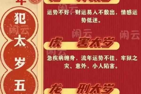 亢龙有悔，红马当道：揭秘壬命的深刻哲理与命运解析