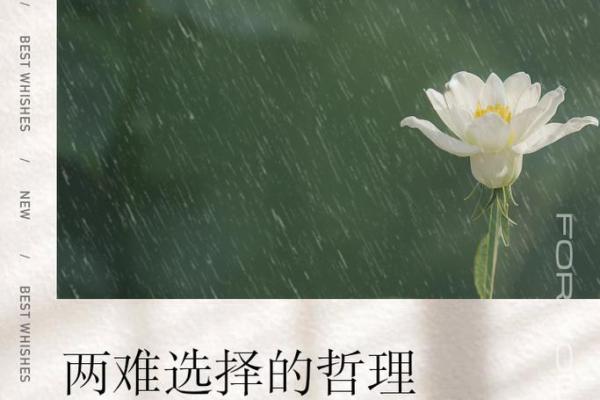 看不透的命运：探寻人生的奥秘与哲理