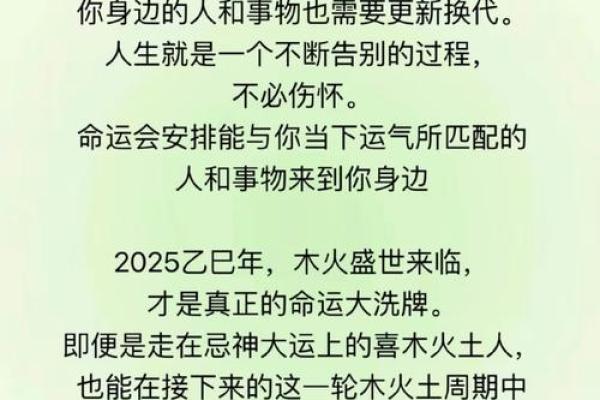 九一年出生的命运：流年运势与性格解析之旅