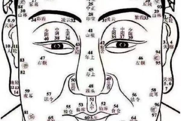 九一年出生的命运：流年运势与性格解析之旅