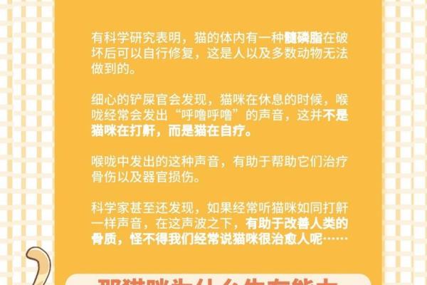 命硬与命厚：如何选择合适职业的指南与解析