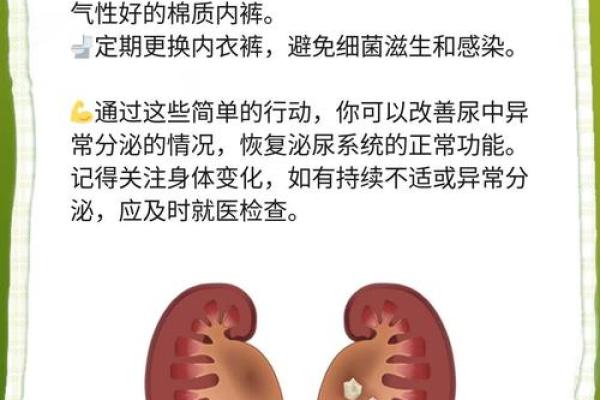 探秘：尿液系统不正常的警告信号与应对措施