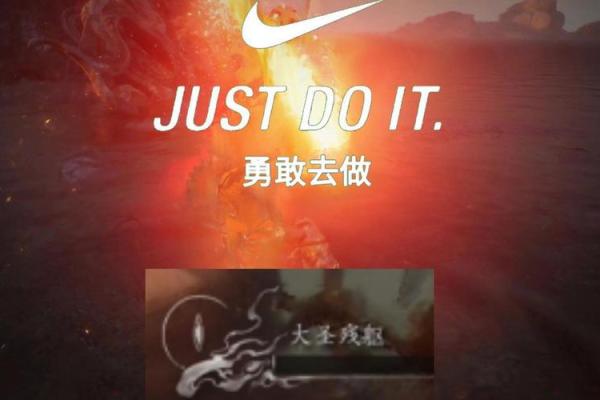 拿命打仗的职业：勇敢者的无畏选择与奉献