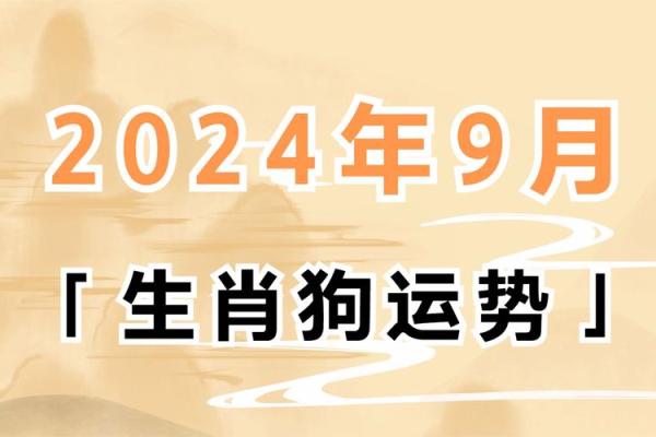 94年属狗人的命运探索：与生俱来的吉祥与挑战