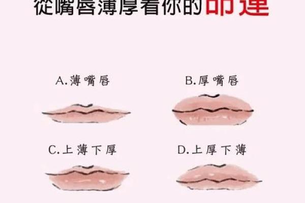 2000年出生的命运解读：你知道这一年的人生特质吗？