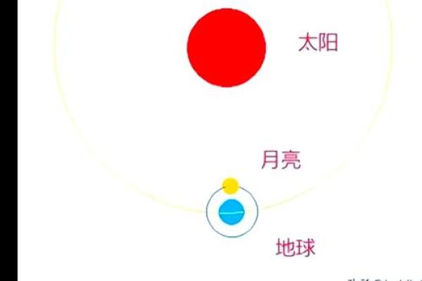 女命八字天合地合的奥秘：揭开命理中的幸福密码