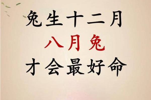 九月出生的兔子命星解析：神秘与智慧的结合