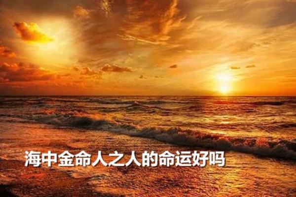 命好大的人：探寻命理背后的幸福与成功之道