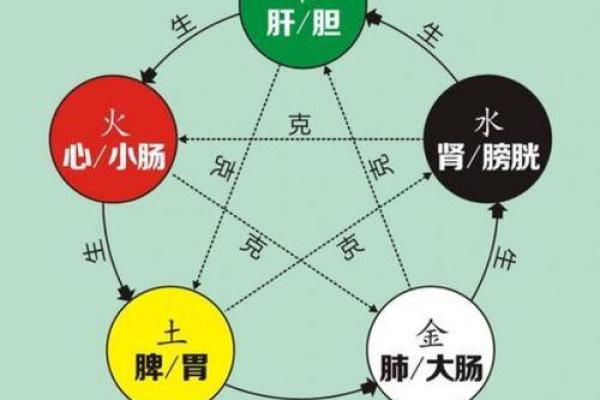 命里带五虚的深层含义与人生启示