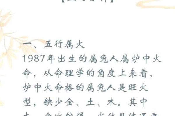 木兔命适合做什么生意？探寻财运与事业的最佳选择！