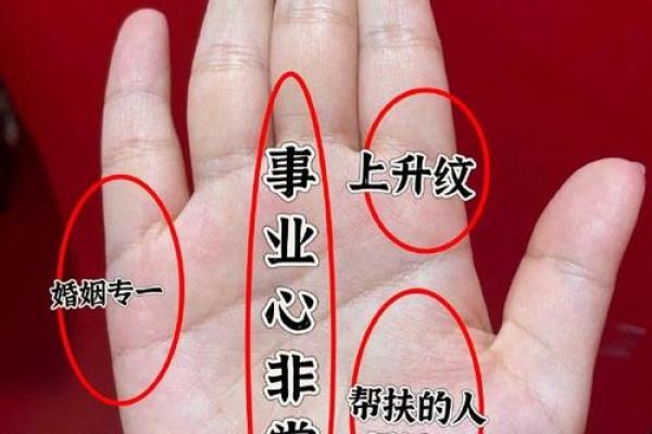 根据手相解读人生的星辰：何时能够迎接孩子的降临