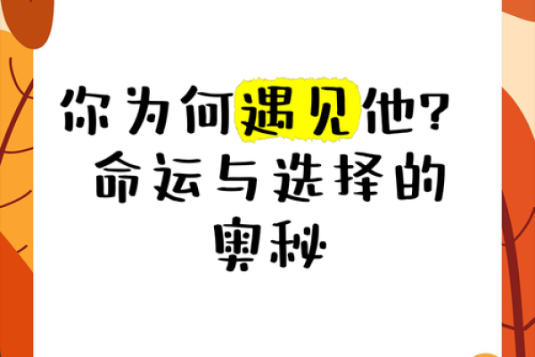命越算越薄，探索命运与选择的奥秘