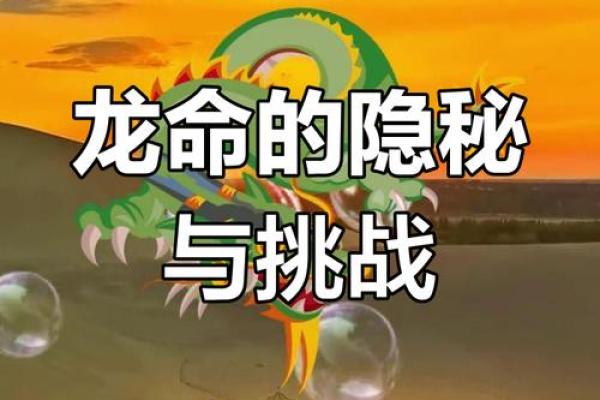 解读龙张星守命：探索命理与人生的奥秘
