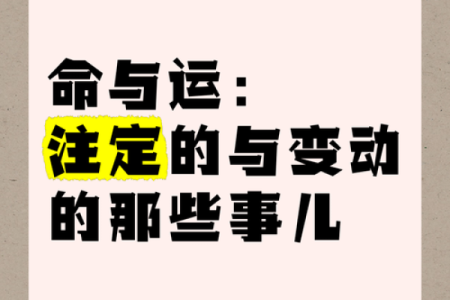 揭开命王之象的神秘面纱:命与运的无形交织