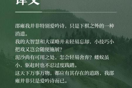 邵雍：古代命理大师的智慧与魅力探秘