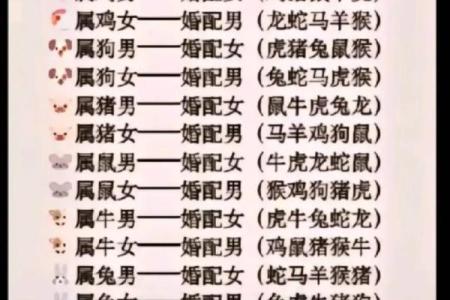 探寻1997年八月牛年出生者的命运特征与人生方向