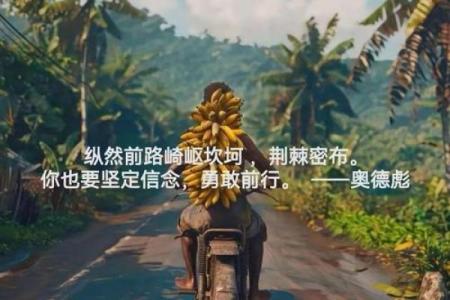 命里有两把火，人生的热情与挑战之恋