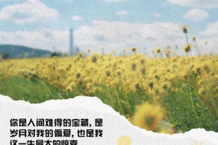 相依为命的村庄:在岁月深处守护的温暖情感