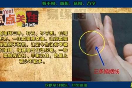 女人手纹分析:二婚命好的秘密,揭示你的幸福与重生