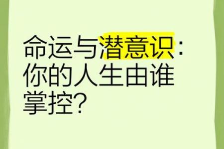 命强女人：掌控命运的魅力与力量