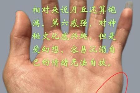 手纹深粗糙的男人:命运的独特印记与人生的启示