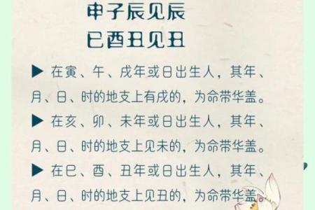 男命带华盖,命运的独特象征与解析