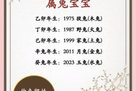 木兔命适合做什么生意?探寻财运与事业的最佳选择!