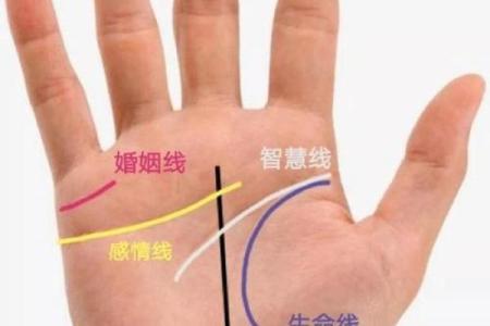 根据手相解读人生的星辰：何时能够迎接孩子的降临