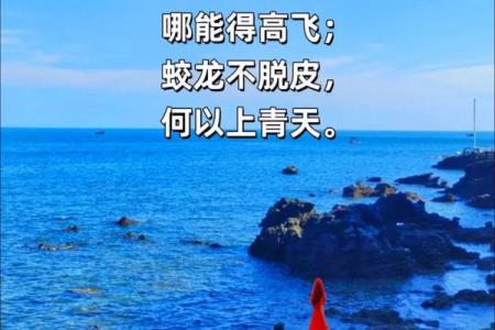 拿命换钱,追寻梦想的代价:一段无法回避的故事