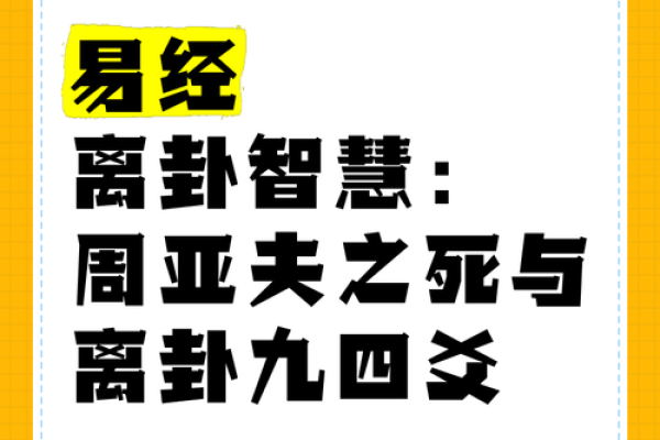 离卦之东，命理解读：神秘的命运与人生探索