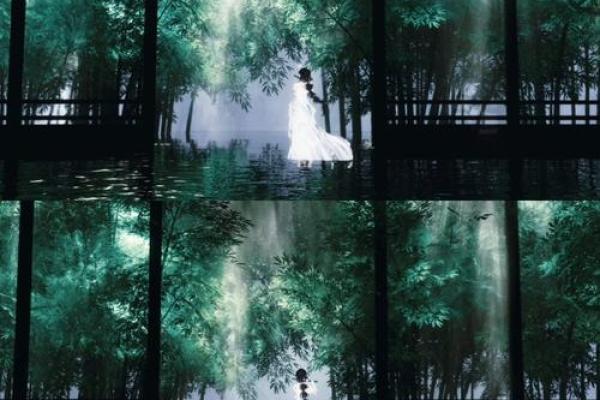 命运的涟漪：在逆水寒中寻找人生的光辉与希望