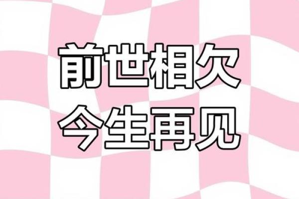 缘分的命运：探寻生命中的宿命与选择
