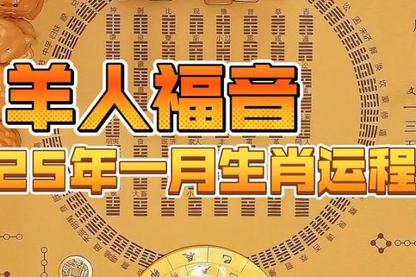 解码九十五岁生肖：揭秘属羊人的神秘命运轨迹