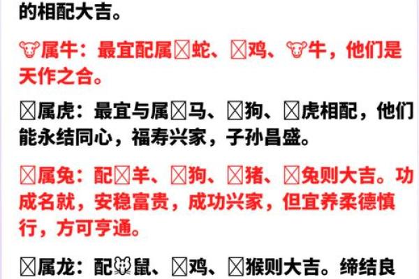 女金命适合找什么命？解析适合的伴侣与最佳婚配