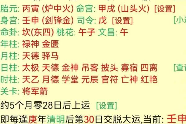 探秘命理：理解四支合一支的独特命局魅力
