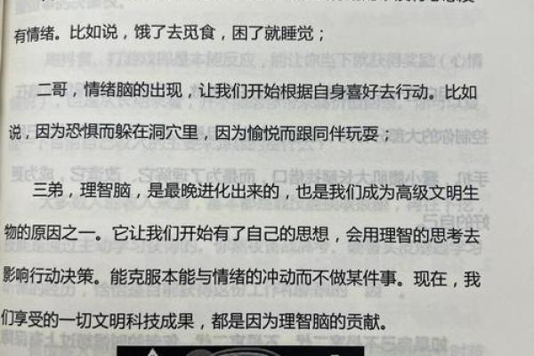 命里掘地是金：探索内心深处的财富与潜能