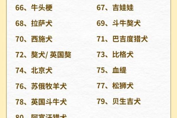 探寻狗属男的命理特征与性格魅力，揭示幸福人生的秘密！