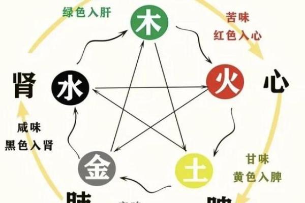 探秘“命到五常”：生命的深刻哲理与实践之道
