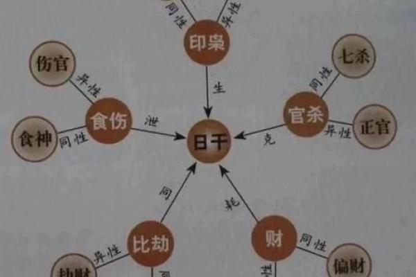 探秘命理：揭示女命与男命的神秘对比与人生轨迹