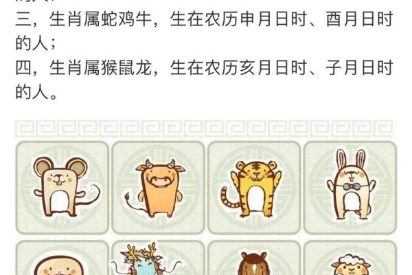 2004年属猴人的命格分析：智慧与变化的结合