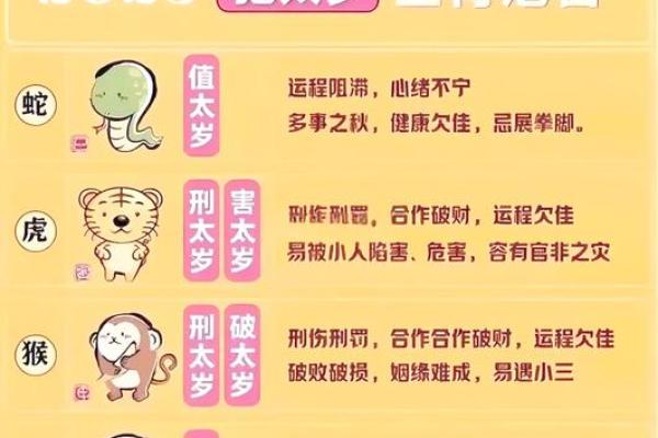2004年属猴人的命格分析：智慧与变化的结合