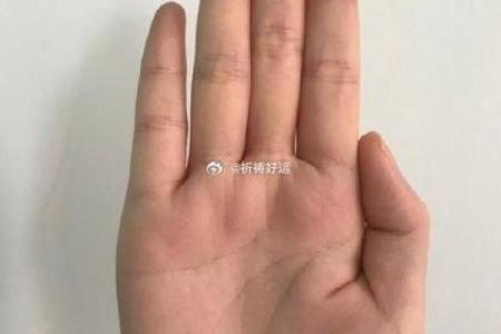 看手腕你是什么命?揭开命运之谜的秘密!