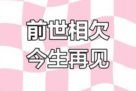 缘分的命运：探寻生命中的宿命与选择