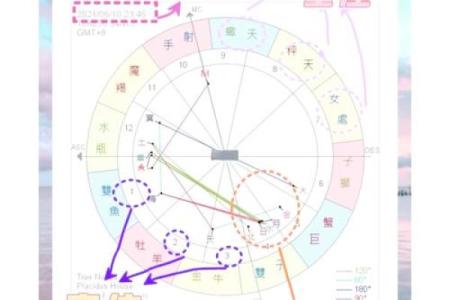 命理看盘：深入探讨命理与个人运势之间的奥秘